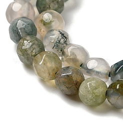 Natural Tree Agate Beads Strands&nbsp;G-H302-A03-02