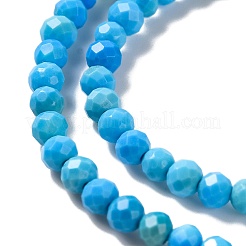 Natural Howlite Beads Strands&nbsp;G-C025-02A-05