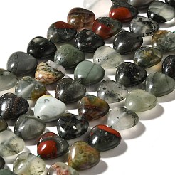 Natural African Bloodstone Beads Strands&nbsp;G-R190-10mm-56