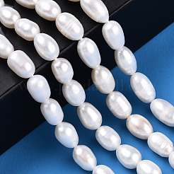 Natural Cultured Freshwater Pearl Beads Strands&nbsp;PEAR-N012-06L