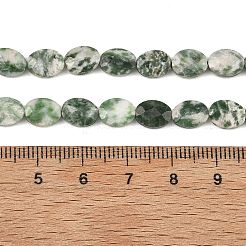 Natural Green Spot Jasper Beads Strands&nbsp;G-H349-A01-20