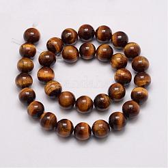 Natural & Dyed Tiger Eye Bead Strands&nbsp;G-P230-10-16mm