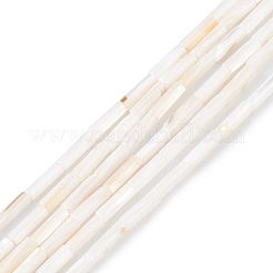 天然淡水シェルビーズ連売り  コラム  貝殻色  13x4mm  穴：0.8mm  約30個/連  15.16''（38.5センチメートル）&nbsp;SHEL-M018-10