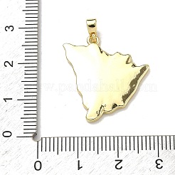 Brass Pendants&nbsp;KK-D235-08G-02