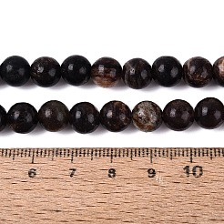 Natural Biotite Beads Strands&nbsp;G-Q616-01C