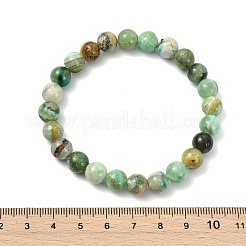 Natural Green Line Jasper Beads Stretch Bracelets for Women Men&nbsp;BJEW-JB13833