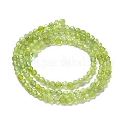 Natural Xiuyan Jade Beads Strands&nbsp;G-Z074-A04-02