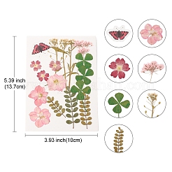 Pressed Dried Flowers&nbsp;DIY-YWC0001-95