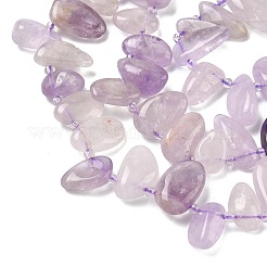 Natural Amethyst Beads Strands&nbsp;G-P604-A09-01