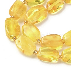 Natural Amber Beads Strands&nbsp;G-L095-C01-02