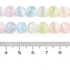 Macaron Color Natural Selenite Beads Strands&nbsp;G-C142-01B-10