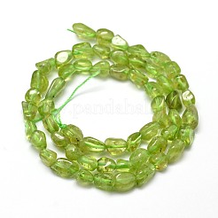 天然ペリドットナゲットビーズ連売り  5~10x6~7x3~7mm  穴：1mm  約14.9インチ〜15.7インチ&nbsp;G-J335-41