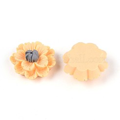 Resin Decoden Cabochons&nbsp;CRES-T025-04B