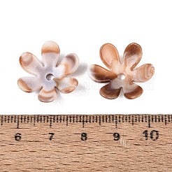 ツートンカラーの不透明なプラスチック製ビーズキャップ  6  - 花びらの花  ペルー  20.5x18.5x7mm  穴：2.2mm  約1040個/500g&nbsp;KY-N025-46