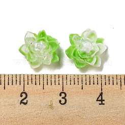Luminous Transparent Resin Decoden Cabochons&nbsp;RESI-D013-06B