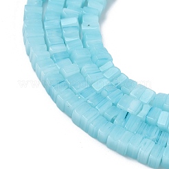 Handmade Lampwork Beads Strands&nbsp;LAMP-Q037-02A-08