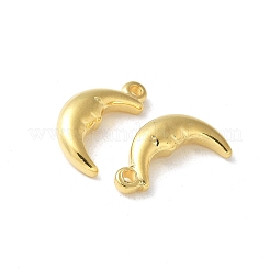 304 Stainless Steel Pendants&nbsp;STAS-I330-060G