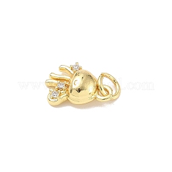 Brass Micro Pave Cubic Zirconia Charms&nbsp;ZIRC-I356-13G-06