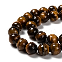 Natural Tiger Eye Round Bead Strands&nbsp;G-P072-33-10mm