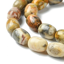 Barrel Shaped Gemstone Natural Crazy Lace Agate Beads Strands&nbsp;G-S114-08