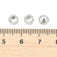 シェグレース真鍮ビーズキャップ  カドミウムフリー＆ニッケルフリー＆鉛フリー  花  プラチナメッキ  6.5x6.5x1.5mm  穴：1mm&nbsp;XGRPCU465-281P