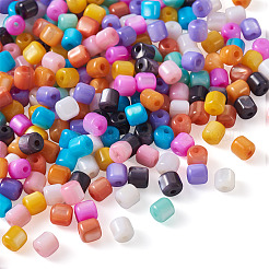 300個10色天然淡水シェルビーズ  染めと未染色の混合  コラム  ミックスカラー  3.5x3.5mm  穴：0.8mm  30個/カラー&nbsp;SHEL-TA0001-06