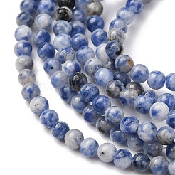 Natural Blue Spot Jasper Beads Strands&nbsp;G-Z116-A02-3mm