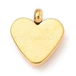 304 Stainless Steel Charms&nbsp;STAS-I165-05G