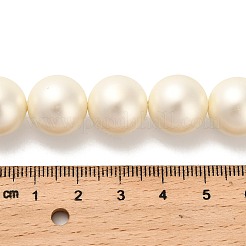 シェルパールビーズ連売り  艶消し  ラウンド  トウモロコシの穂の黄色  14.5x14mm  穴：0.8mm  約29個/連  15.83''（40.2センチメートル）&nbsp;BSHE-XCP0001-32