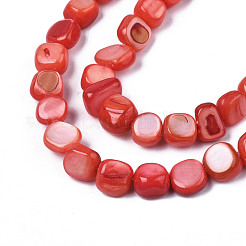 Natural Trochid Shell/Trochus Shell Beads Strands&nbsp;SHEL-S258-083-B06