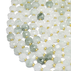 Natural Tianshan Cui Quartzite Beads Strands&nbsp;G-C116-A61-02