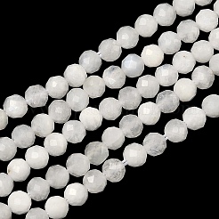Natural Rainbow Moonstone Beads Strands&nbsp;G-B168-A11-3mm