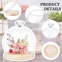 Glass Dome Cover&nbsp;ODIS-WH0002-26A