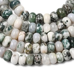 Natural Tree Agate Beads Strands&nbsp;G-A280-A04-02