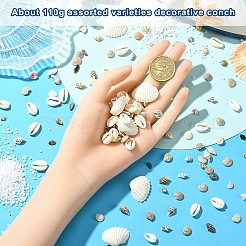 DIYシェルディスプレイデコレーションキット  100gの天然混合シェルビーズを含む  10gの天然混合宝石ビーズ  ガラスボトルビーズ容器1個  ミックスカラー  5.5~27x5~35x2.5~12mm&nbsp;DIY-YW0017-04