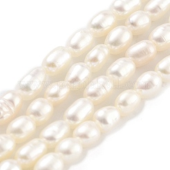 天然養殖淡水パールビーズ連売り  ライス  グレード5 A  雪  2.8~3.2mm  穴：0.3mm  約31個/連  6.69''~6.89''（17~17.5センチメートル）&nbsp;PEAR-P062-01H