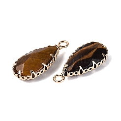 Natural Tiger Eye Faceted Pendants&nbsp;G-Q606-104G-06