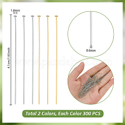 304ステンレススチールフラットヘッドピン600個  本金メッキ&ステンレススチールカラー  40.5x0.6mm  22ゲージ  ヘッド：1.4mm  300個/カラー&nbsp;STAS-PH0007-46