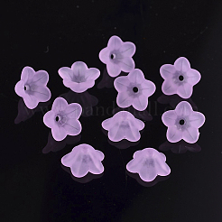 Transparent Acrylic Beads&nbsp;PL560-4