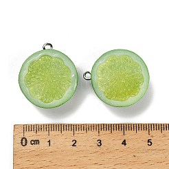 Opaque Resin Pendants&nbsp;RESI-Z042-01P-03