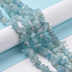 Natural Aquamarine Chips Beads Strands&nbsp;X-G-D0002-A02
