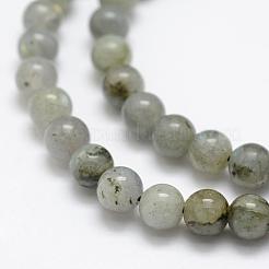 Natural Labradorite Beads Strands&nbsp;G-P322-29-6mm