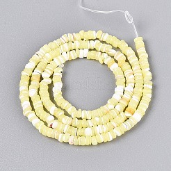 Natural Trochid Shell/Trochus Shell Beads Strands&nbsp;SSHEL-N040-21G