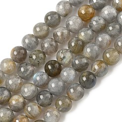 Natural Labradorite Beads Strands&nbsp;G-U017-6mm-01-A