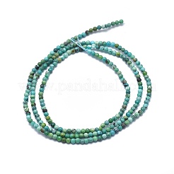 Natural HuBei Turquoise Beads Strands&nbsp;X-G-A177-04-15