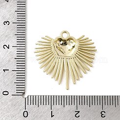 Alloy Pendants&nbsp;FIND-B060-06G