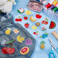 20Pcs 20 Styles Fruits Computerized Embroidery Cloth Iron on/Sew on Patches&nbsp;PATC-AR0001-18