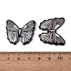 Acrylic & Natural Freshwater Shell Cabochons&nbsp;OACR-N164-07