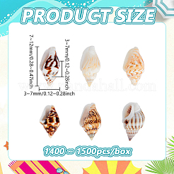 天然スパイラルシェルビーズ  穴がない  レモンシフォン  7~12x3~7x3~7mm  約1400~1500個/箱&nbsp;SSHEL-PH0002-03