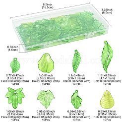 80Pcs 8 Styles Transparent Acrylic Pendants&nbsp;OACR-FS0002-34